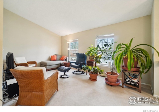 13755 W 65th Dr, Arvada, CO 80004 - carpeted living area featuring lofted ceiling