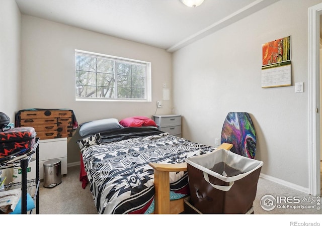 13755 W 65th Dr, Arvada, CO 80004 - bedroom with carpet and baseboards