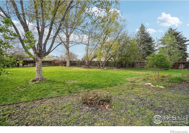 13755 W 65th Dr, Arvada, CO 80004 - view of yard