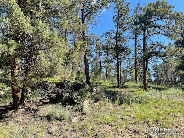 27271 Log Trl, Conifer, CO 80433