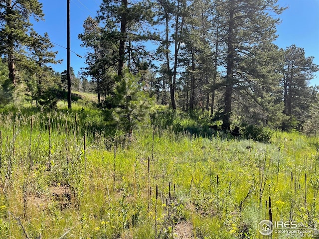 27271 Log Trl, Conifer, CO 80433