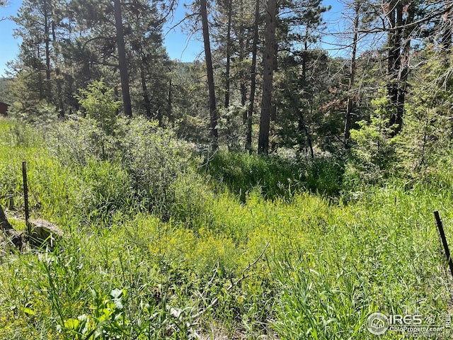 27271 Log Trl, Conifer, CO 80433