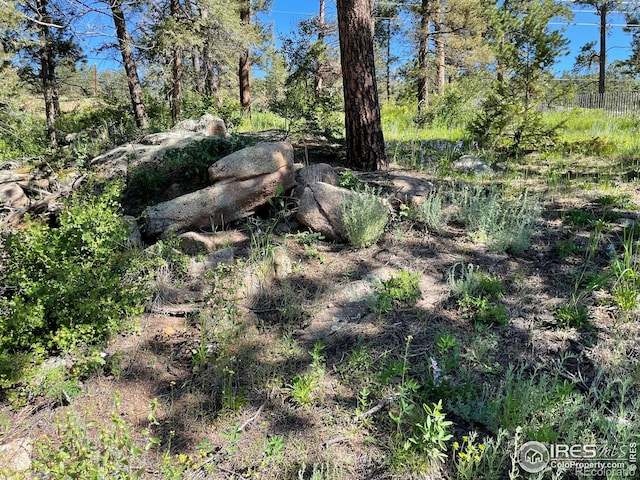 27271 Log Trl, Conifer, CO 80433