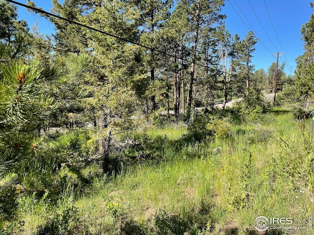 27271 Log Trl, Conifer, CO 80433