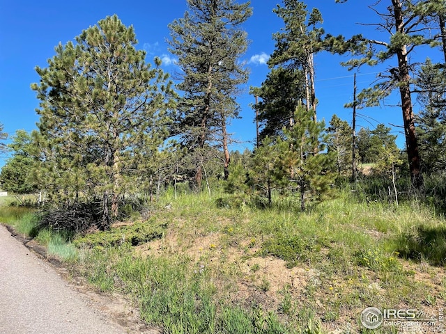 27271 Log Trl, Conifer, CO 80433
