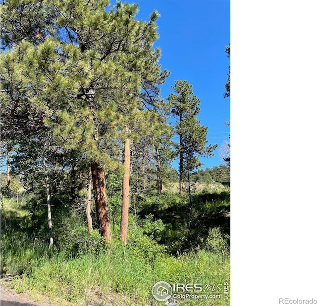 27271 Log Trl, Conifer, CO 80433