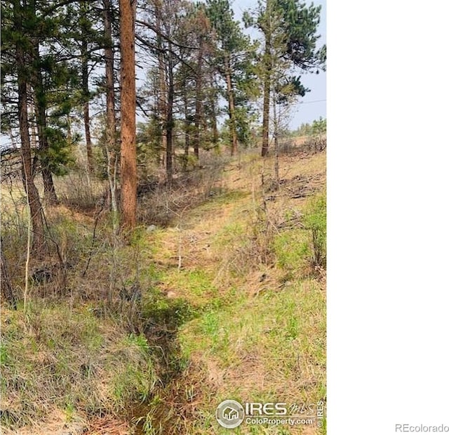 27271 Log Trl, Conifer, CO 80433