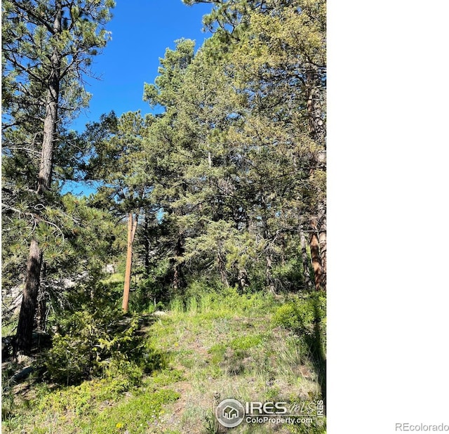27271 Log Trl, Conifer, CO 80433