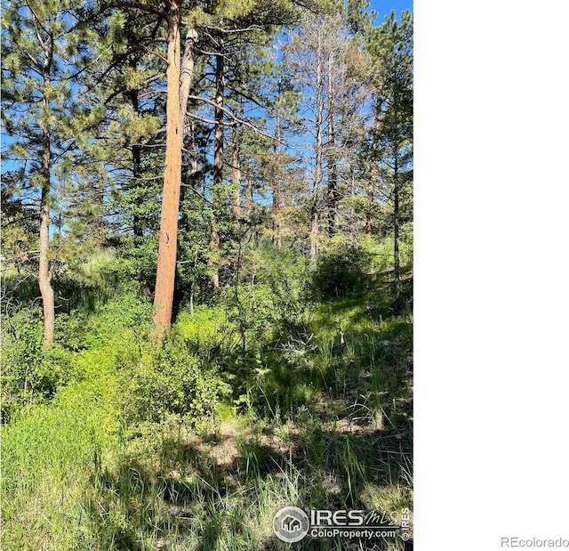 27271 Log Trl, Conifer, CO 80433