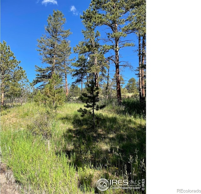 27271 Log Trl, Conifer, CO 80433