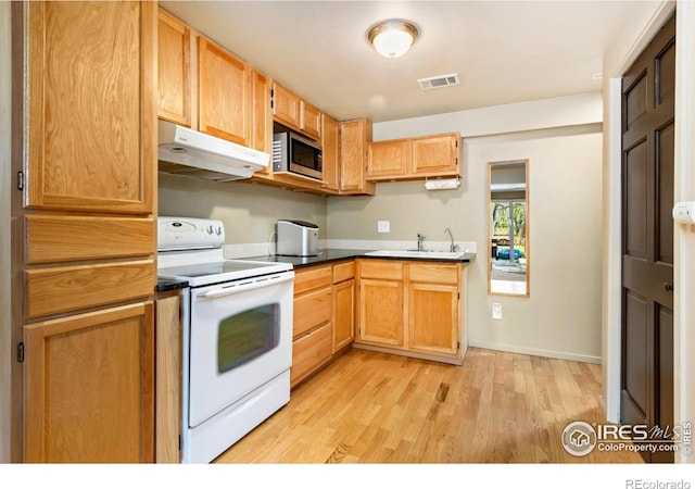 511 Spindrift Ct, Fort Collins, CO 80525 - kitchen featuring a sink, light wood finished floors, white range with electric cooktop, stainless steel microwave, and under cabinet range hood