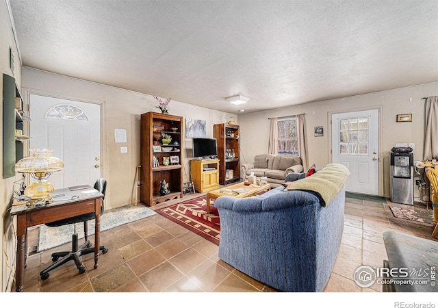 95 Eagle Tree Cir, Red Feather Lakes, CO 80545 - living room featuring a textured ceiling
