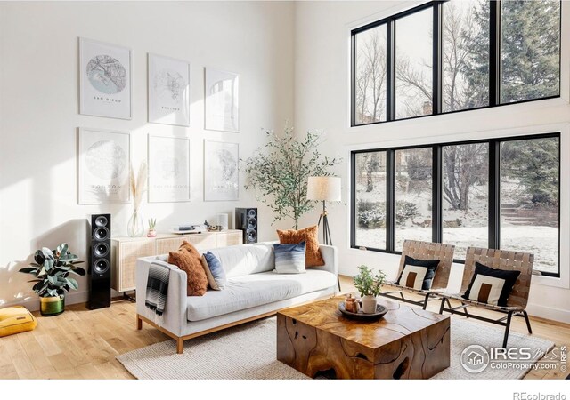 4046 Niblick Dr, Longmont, CO 80503 - photo 10