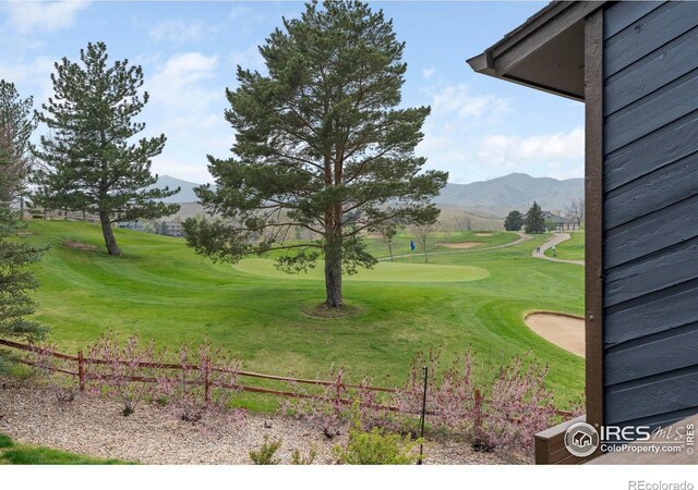 4046 Niblick Dr, Longmont, CO 80503 - photo 39