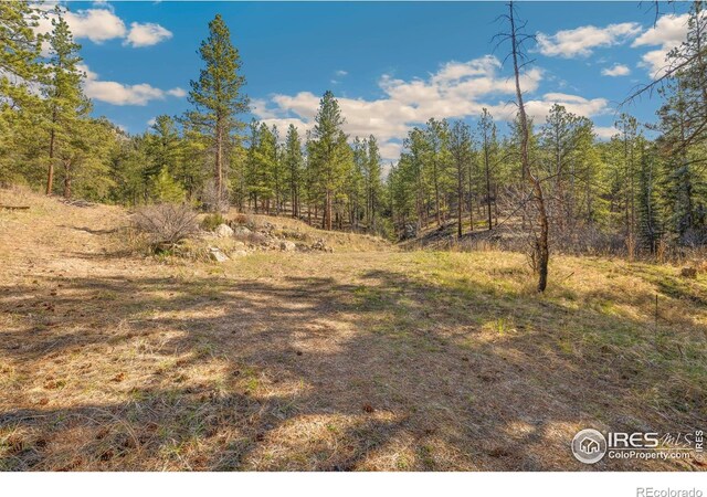 755 Fox Creek Rd, Glen Haven, CO 80532