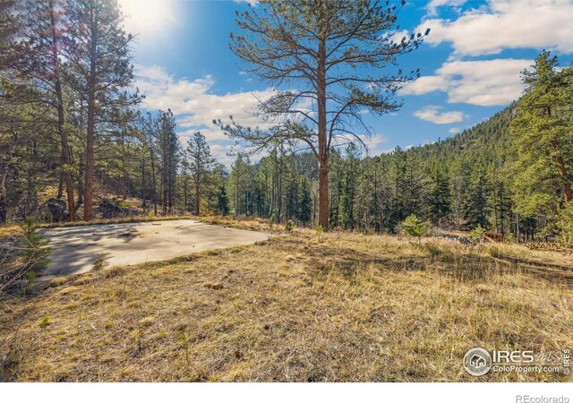 755 Fox Creek Rd, Glen Haven, CO 80532