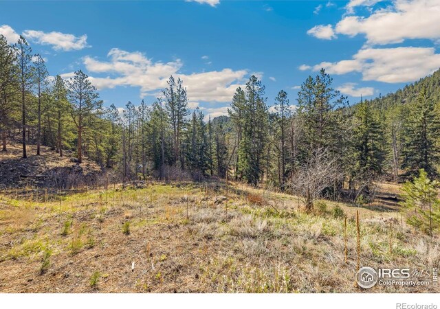 755 Fox Creek Rd, Glen Haven, CO 80532