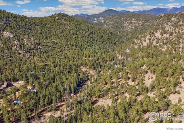 755 Fox Creek Rd, Glen Haven, CO 80532