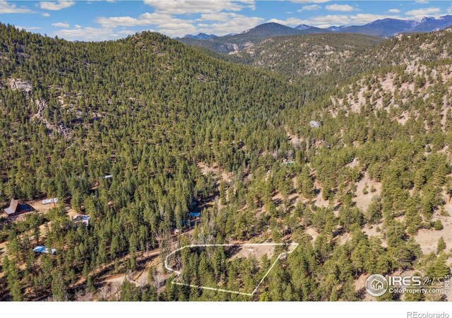 755 Fox Creek Rd, Glen Haven, CO 80532