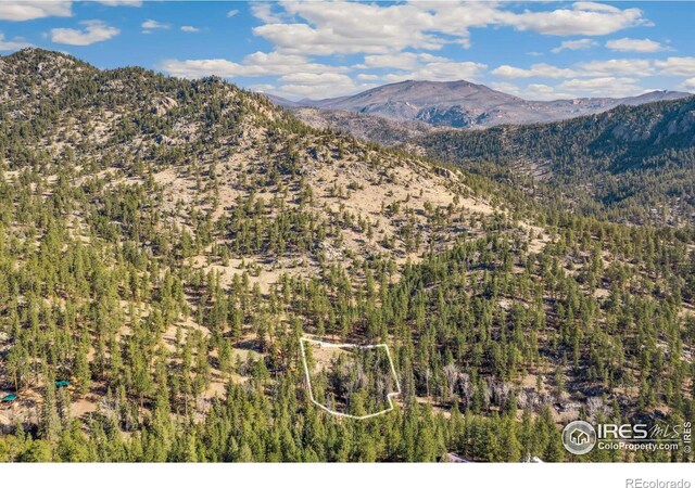 755 Fox Creek Rd, Glen Haven, CO 80532