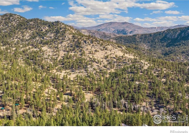 755 Fox Creek Rd, Glen Haven, CO 80532
