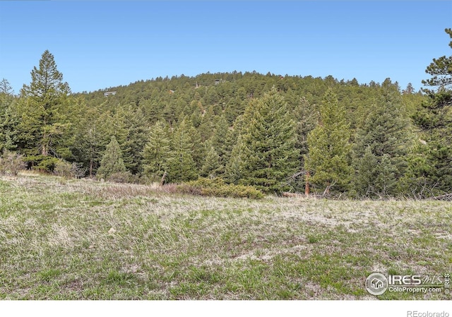 387 Millionaire Dr E, Boulder, CO 80302 - view of wooded area