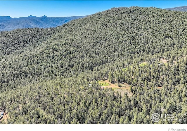387 Millionaire Dr E, Boulder, CO 80302 - view of mountain backdrop with a forest