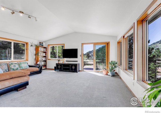 2345 Point Of Pines Dr, Boulder, CO 80302 - carpeted living room featuring track lighting, baseboards, and lofted ceiling