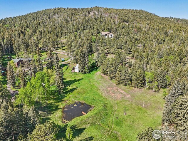 27921 Alabraska Ln, Evergreen, CO 80439 - bird's eye view of a forest