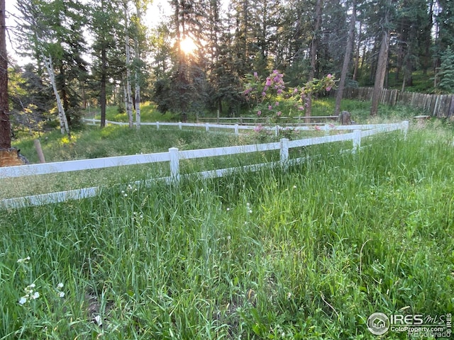27921 Alabraska Ln, Evergreen, CO 80439 - view of yard