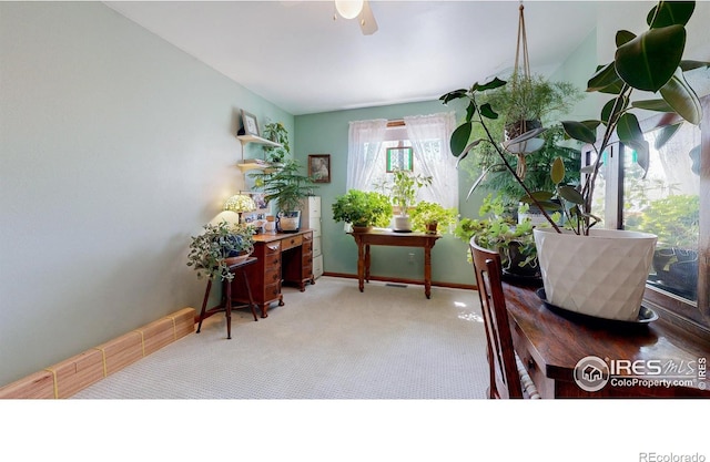 729 Jay Pl, Berthoud, CO 80513 - view of carpeted office space