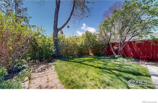 729 Jay Pl, Berthoud, CO 80513 - view of yard