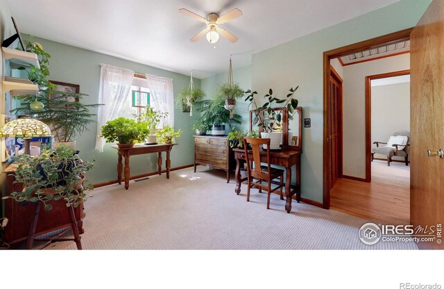 729 Jay Pl, Berthoud, CO 80513 - office area with carpet flooring, a ceiling fan, and baseboards