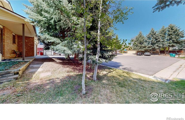 729 Jay Pl, Berthoud, CO 80513 - view of yard