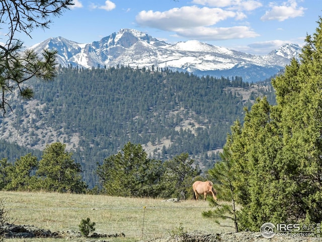 141 Palisade Mountain Dr, Drake, CO 80515 - photo 3
