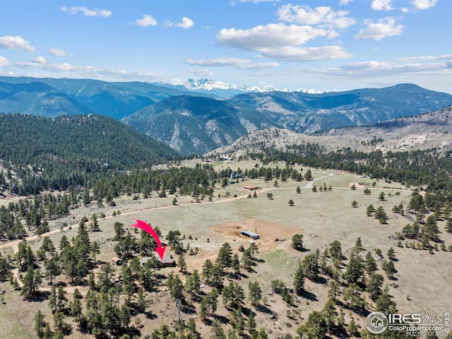 141 Palisade Mountain Dr, Drake, CO 80515 - photo 6