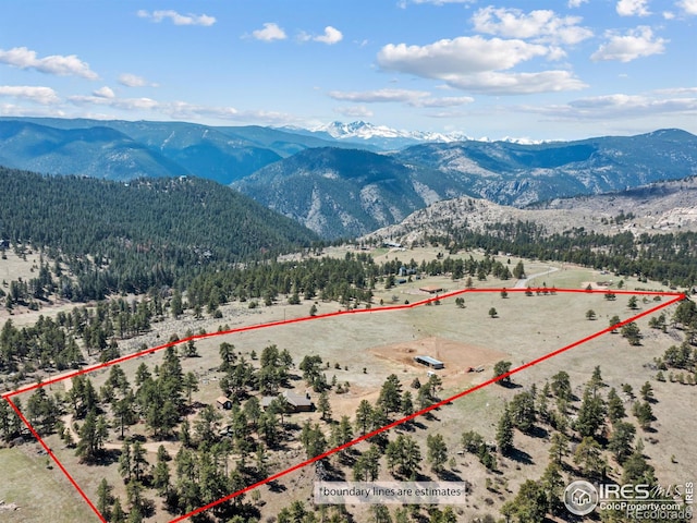 141 Palisade Mountain Dr, Drake, CO 80515 - photo 2