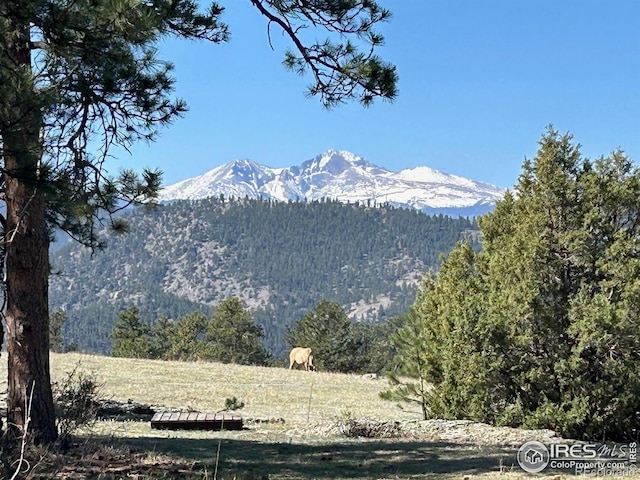141 Palisade Mountain Dr, Drake, CO 80515 - photo 9