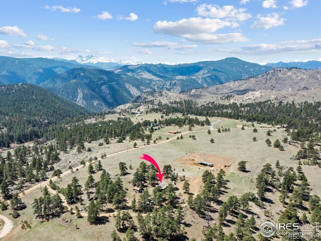 141 Palisade Mountain Dr, Drake, CO 80515 - photo 12