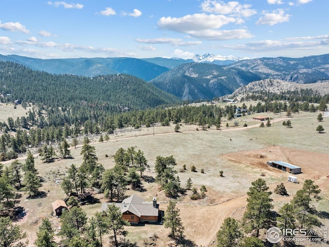 141 Palisade Mountain Dr, Drake, CO 80515 - photo 15