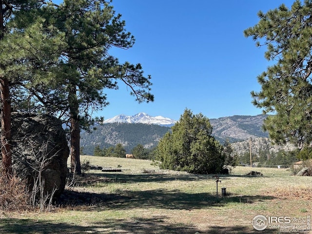 141 Palisade Mountain Dr, Drake, CO 80515 - photo 16