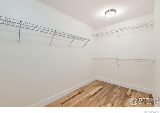 799 Robert St, Longmont, CO 80503