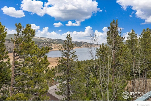 139 Ponderosa Dr, Nederland, CO 80466 - water view