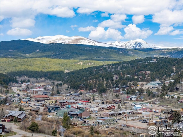 139 Ponderosa Dr, Nederland, CO 80466 - mountain view featuring a forest