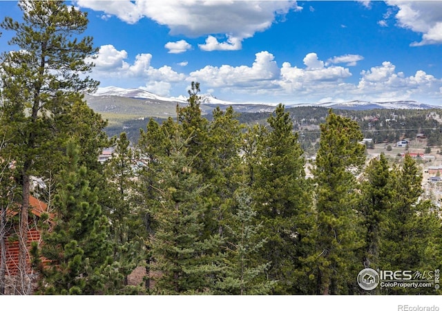 139 Ponderosa Dr, Nederland, CO 80466 - mountain view