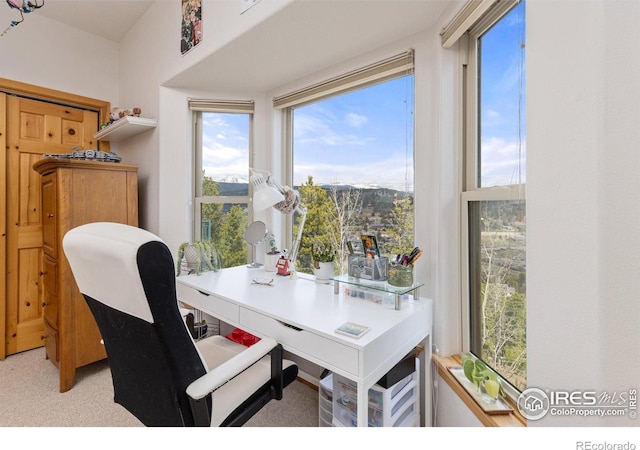 139 Ponderosa Dr, Nederland, CO 80466 - home office with healthy amount of natural light and light colored carpet