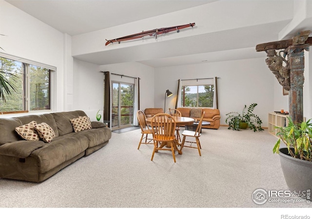 139 Ponderosa Dr, Nederland, CO 80466 - living area featuring carpet and plenty of natural light