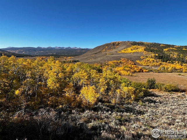 80 Trapper Ct, Jelm, CO 80545 - photo 20
