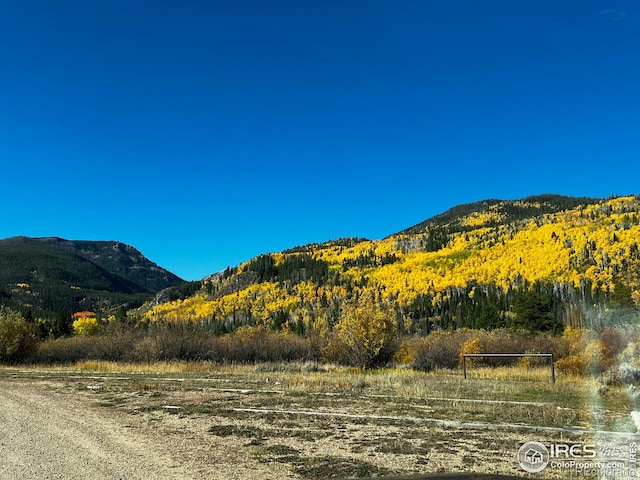 80 Trapper Ct, Jelm, CO 80545 - photo 21
