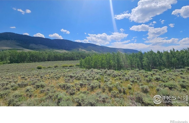 80 Trapper Ct, Jelm, CO 80545 - photo 3